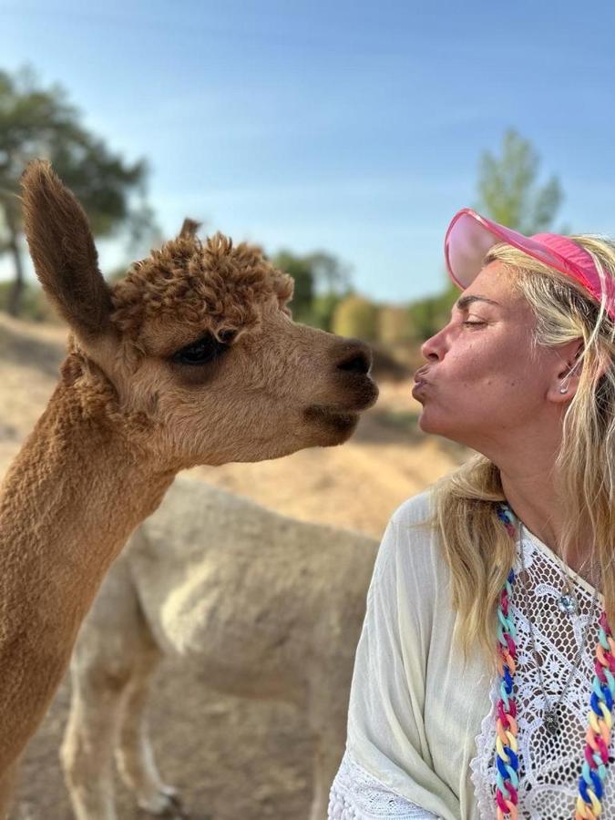 Alpaca Farm And B&B - Mama Adama Grandola Luaran gambar
